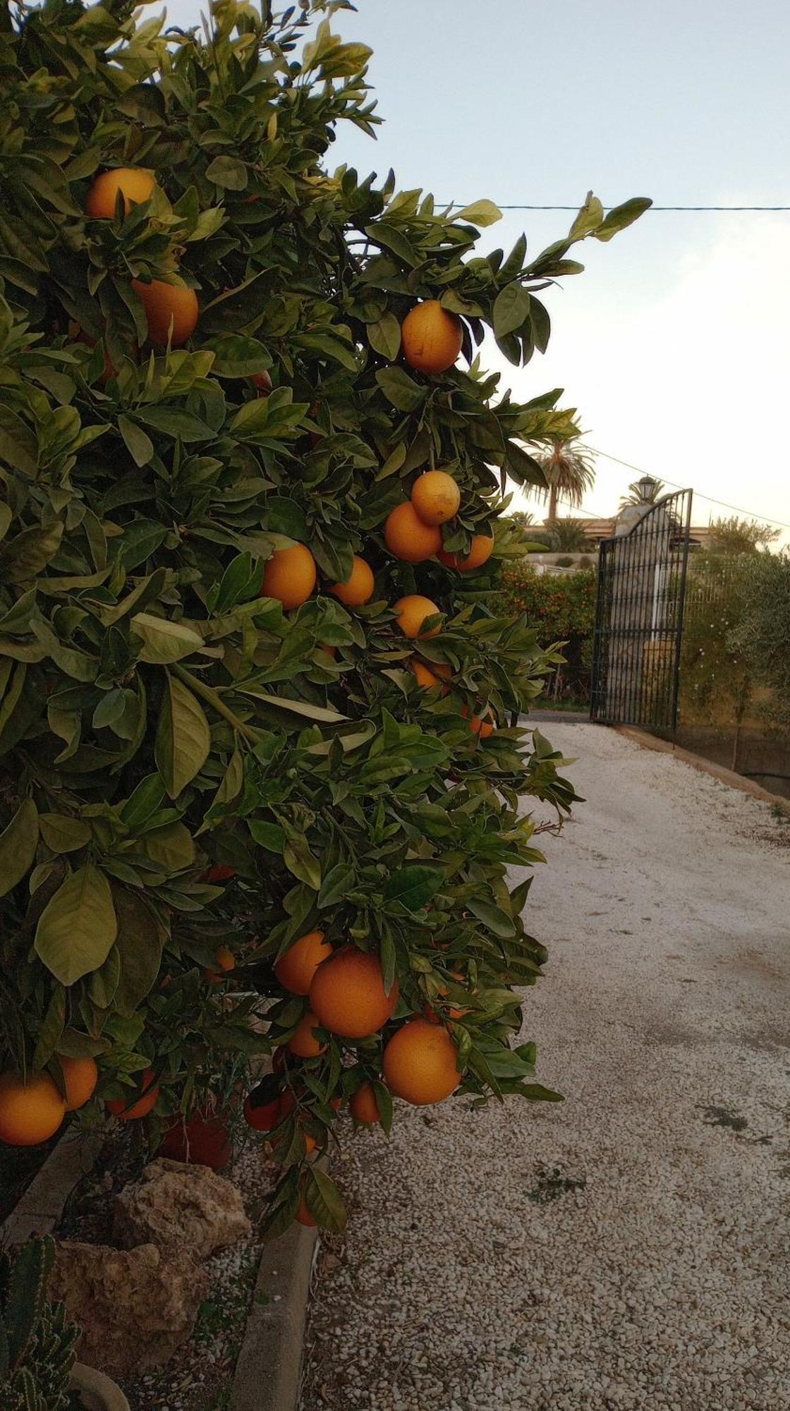 Vila Cortijo Paulenca Almería Exteriér fotografie